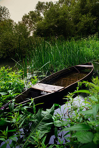 老沉船在河的灌木丛中图片