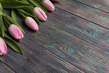 在生锈的多彩木板上排成一行排列的新粉红春季图片