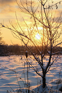 寒冬的日落在雪地的夜晚田野图片