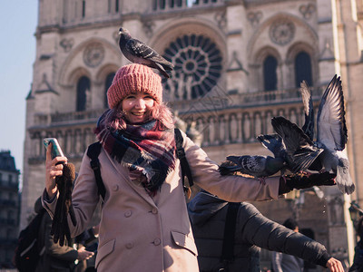 在圣母院教堂前的广场上喂鸽子图片素材