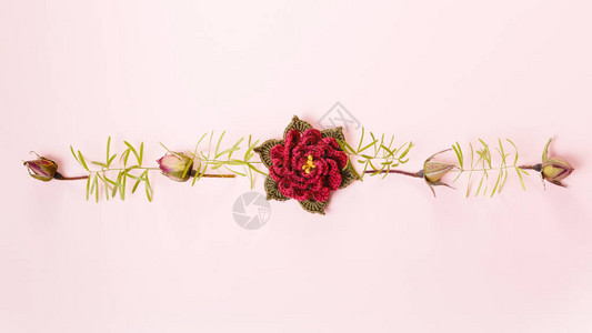 粉红色背景上的节日花紫玫瑰组合物图片