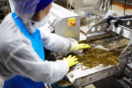海产食品加工厂人混合煮熟海藻沙背景图片