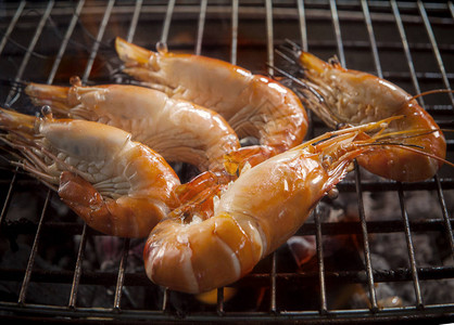 烤肉炉烤淡水虾图片