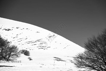 在寒冬清晨下雪图片