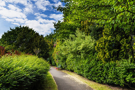 春末英国公共花园有绿树和图片