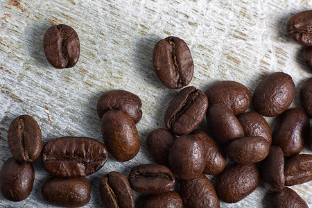 厄瓜多尔的阿拉伯咖啡豆在生图片