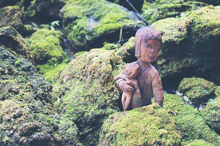 室内风格绿色生态环境有植物刺树的图片