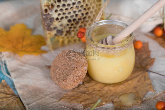 麻布上的花楸浆果蜂蜜和蜂窝特写图片