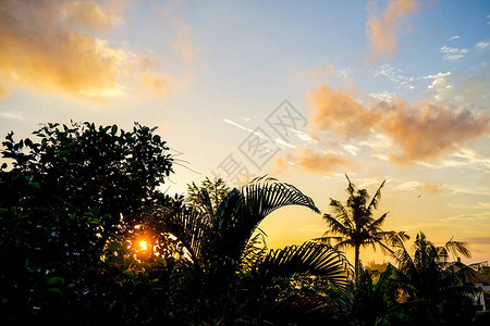巴厘岛上的金色日落阳光透过栅栏的树叶微照耀天空是带有蓝色图片