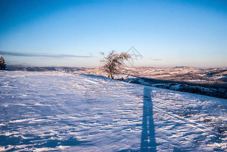 波兰贝斯基德斯拉基山脉科尼亚科村上方的奥乔齐塔山上的冬日早晨图片
