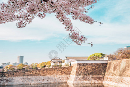 日本大阪城的春天樱花图片