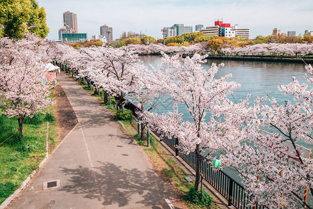 日本大阪KemaSakuranomiya公园带河的图片