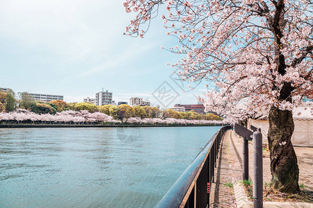 日本大阪KemaSakuranomiya公园带河的图片