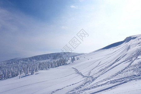 日本山形藏王山的雪怪藏王是东北最大的滑雪胜地之一在冬天图片