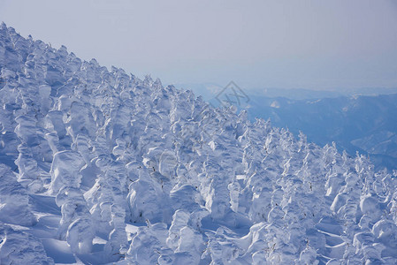 日本山形藏王山的雪怪藏王是东北最大的滑雪胜地之一在冬天图片