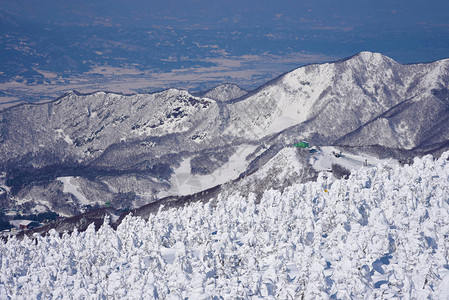 日本山形藏王山的雪怪藏王是东北最大的滑雪胜地之一在冬天图片