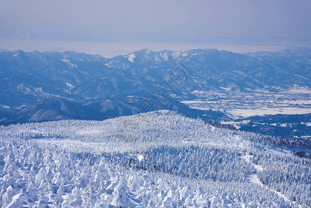 日本山形藏王山的雪怪藏王是东北最大的滑雪胜地之一在冬天图片