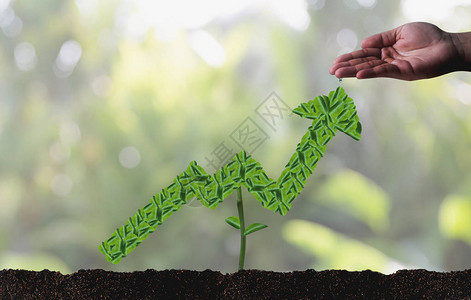 增长储蓄币投资增长图商业发展和生态发展与生态图片