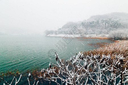 冬天的雪湖景观图片