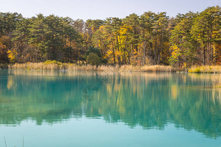 福岛省Urabandai地区的蓝色池图片