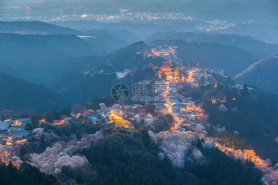 奈良县吉野山的灯火和樱花盛开图片