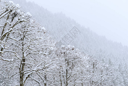 瑞士阿尔卑斯山英格堡的雪景图片