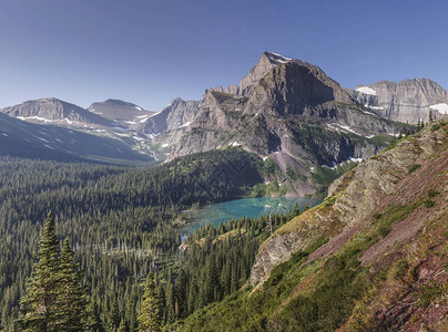美国蒙大拿州冰川公园中的Gri图片