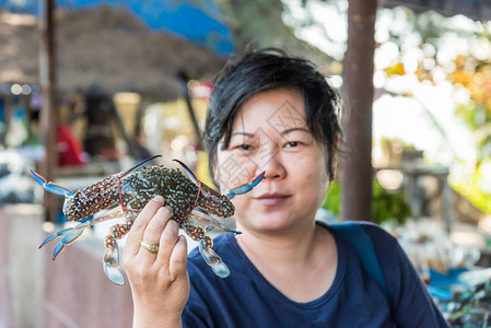 亚洲女人丰满的身体拿着新鲜的生海花蟹portunuspelagicus优质展示在背景图片
