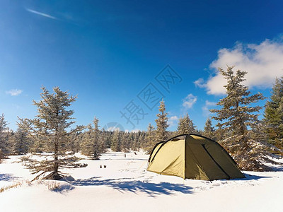 冬天在森林中的雪上露营绿色帐篷隐藏在图片