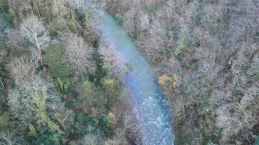 广阔的森林领土与快速的山区河流寒冷的秋天景观夹子秋季山区图片