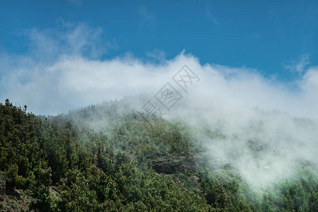 泰德公园的泰德火山和熔岩风景图片