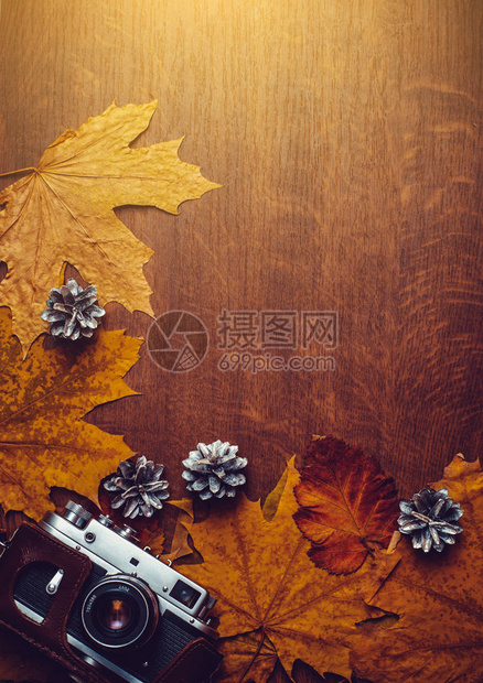 快乐秋天背景锥盘古老相机和木板上多彩的叶子图片