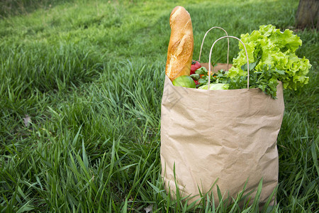 一整包健康产品的纸袋站在草地图片