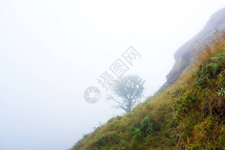 山高蓝天山丘复制空间图片