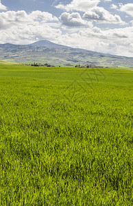 意大利地貌与草原在春天初图片