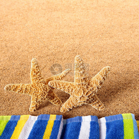 夏季沙滩海星在边图片