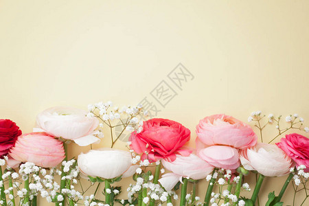 黄色背景的粉红和白色彩虹花朵平背景图片