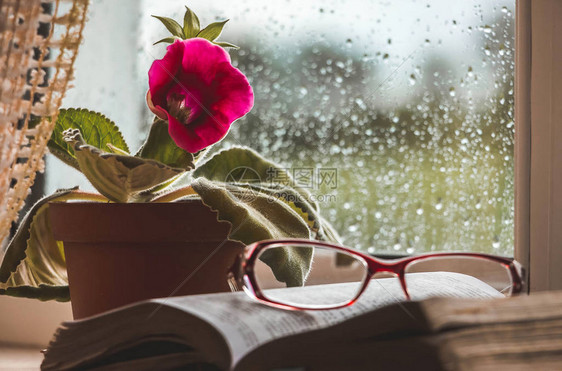 有眼镜的书就躺在窗上背景里花朵是图片