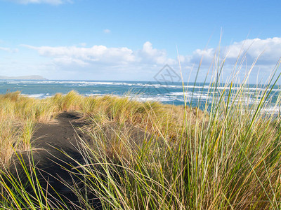 西拉格兰海岸沿海沙丘和植被图片