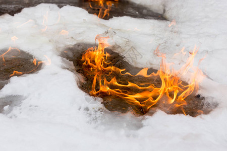 冬天白雪上的火焰图片