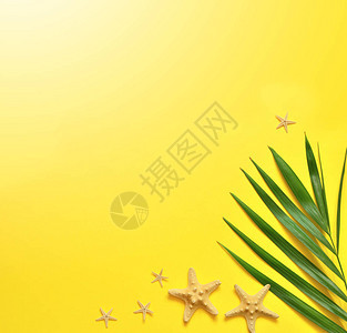 热带背景棕榈树分支和有海星的黄色背景旅图片