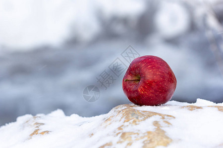 冬天寒冷的冰冻和雪在这种背景下图片