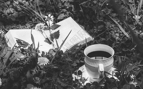 开着书和一杯热咖啡在夏天或春天清晨的绿色草原图片