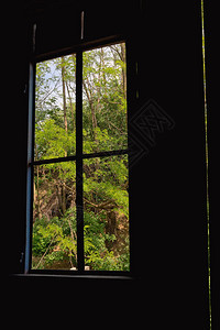窗框与春天的自然图片