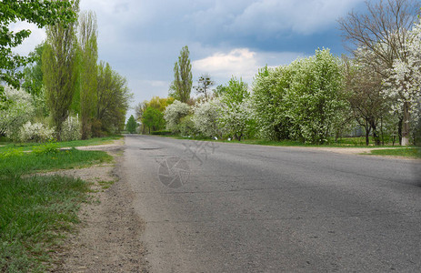 乌克兰苏姆斯卡亚州小城市Okhtyrka路边的春地布景沥青背景图片