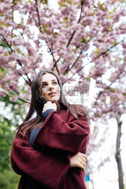 春美女孩露天开花的樱树浪漫的图片