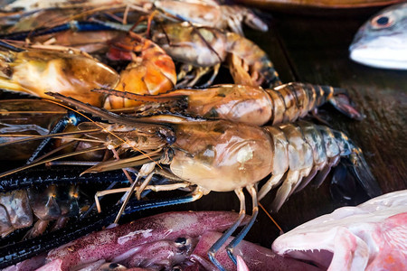 海鲜市场上的新鲜龙虾详细视图图片