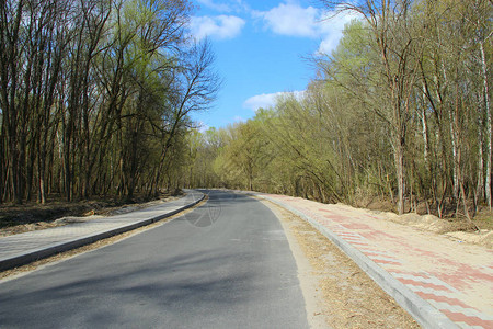 春天公园的柏油路在木头的空路春天树间城图片