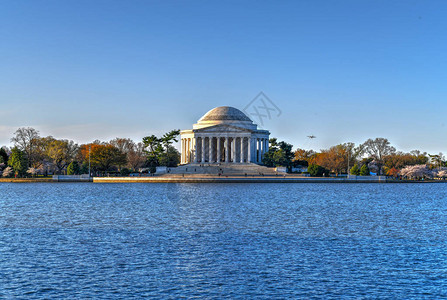 Jefferson纪念和樱花春天在华盛顿的蒂达图片
