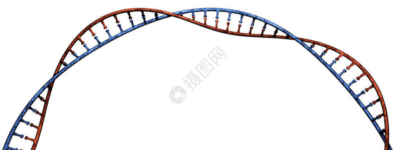 携带用于所有已知活生物体和许多的生长发育功能和繁殖的遗传指令图片